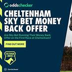 cheltenham bet promotions